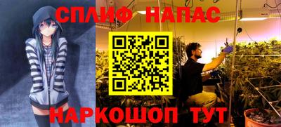 стаф Можга